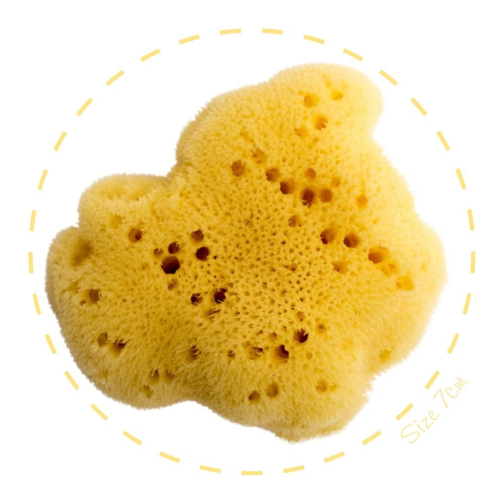 Babu - Honeycomb Sea Baby Sponge - 16cm - Yellow