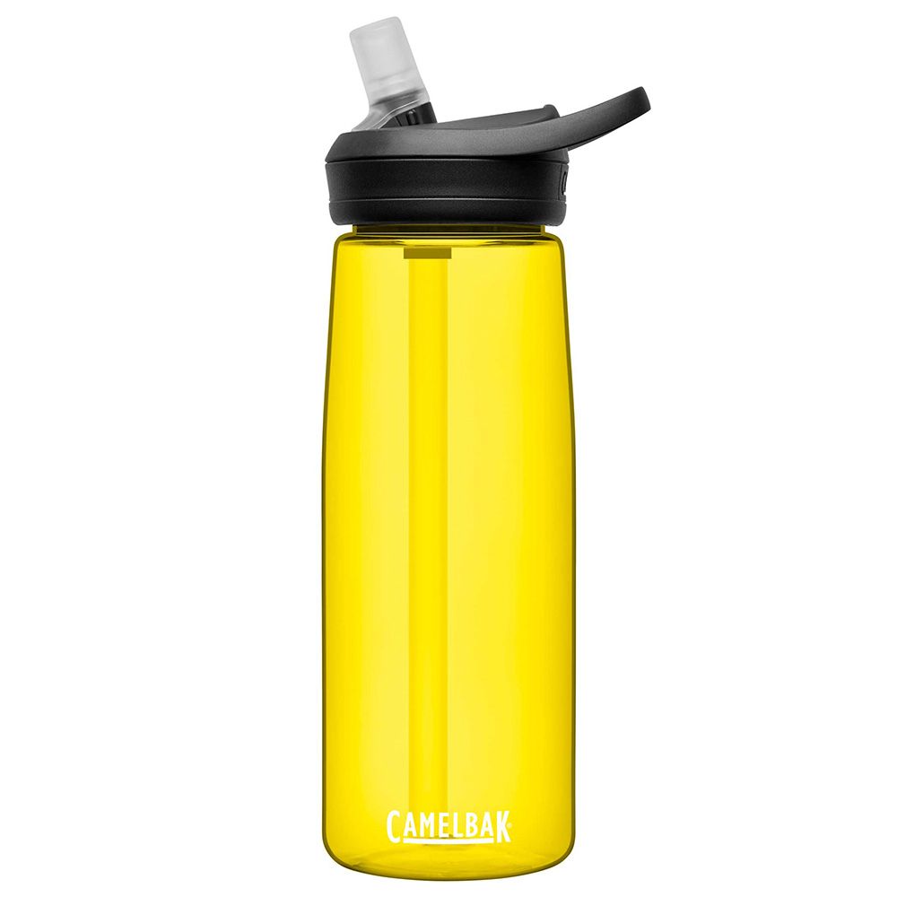 CamelBak Eddy+ Kids 14oz - Camping Bugs