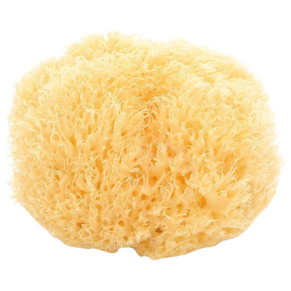 Honeycomb natural sponge (12 cm) (package of 4 pcs)