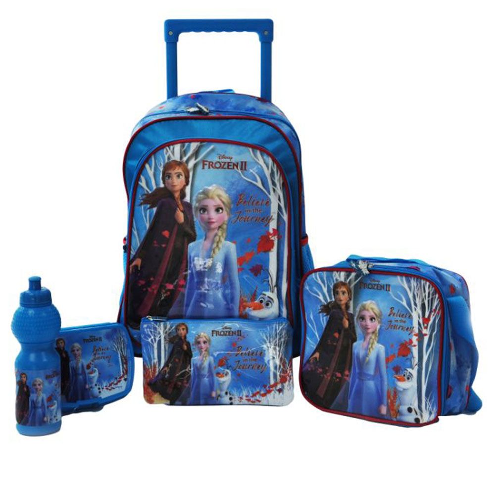 Disney Princess Frozen Elsa & Anna Matching Large 16 Inches Backpack With  Lunch Bag Set