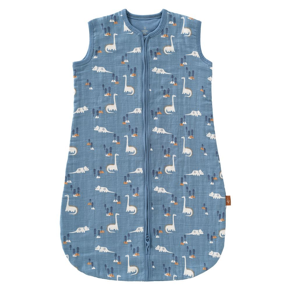 Fresk - 2 Layer Muslin Sleeping Bag - Blue Dino