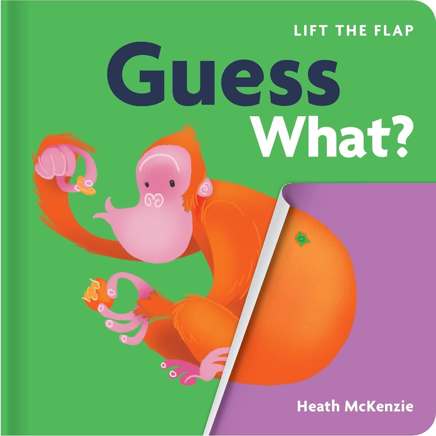 Lift-The-Flap Guess What? Board Book