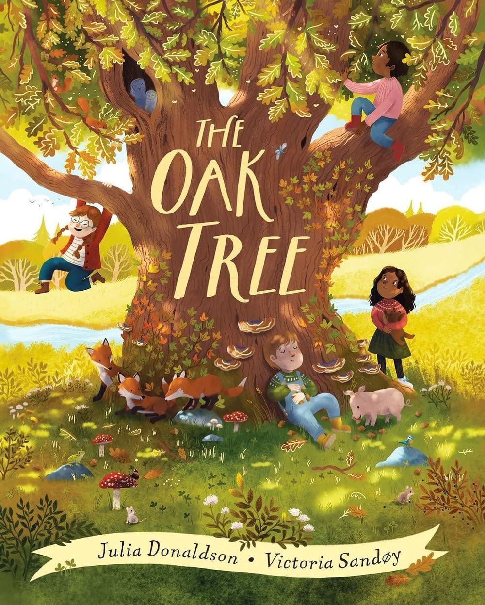 The Oak Tree: A Dazzling Picture Book