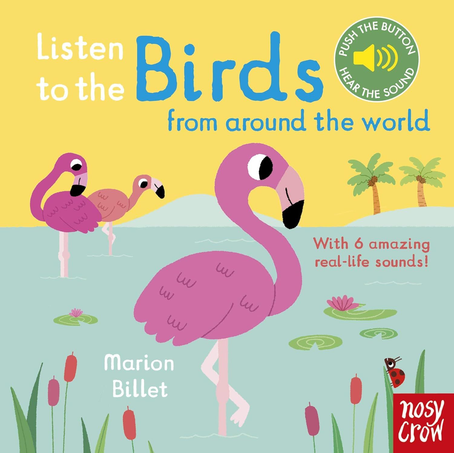 Listen To The Birds From Around The World