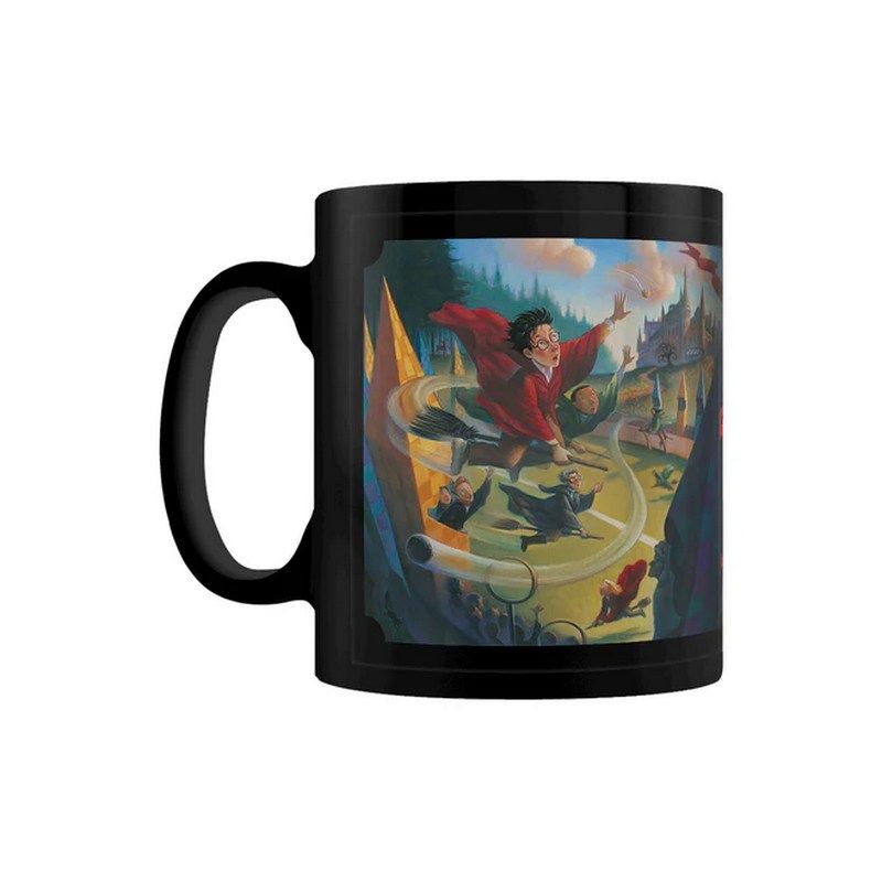 Pyramid International - Ceramic Mug Harry Potter Book 1 Quidditch - Black