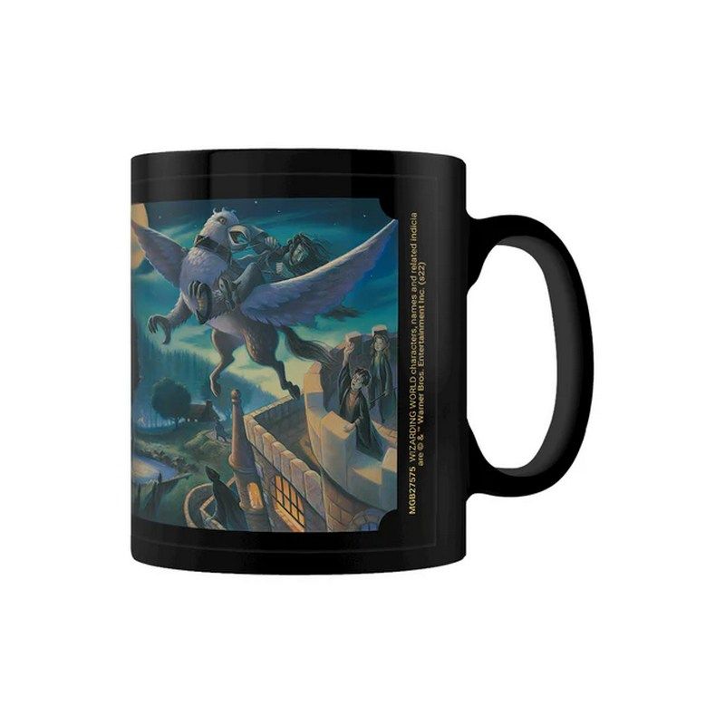 Pyramid International - Ceramic Mug Harry Potter Book 3 Sirius - Black