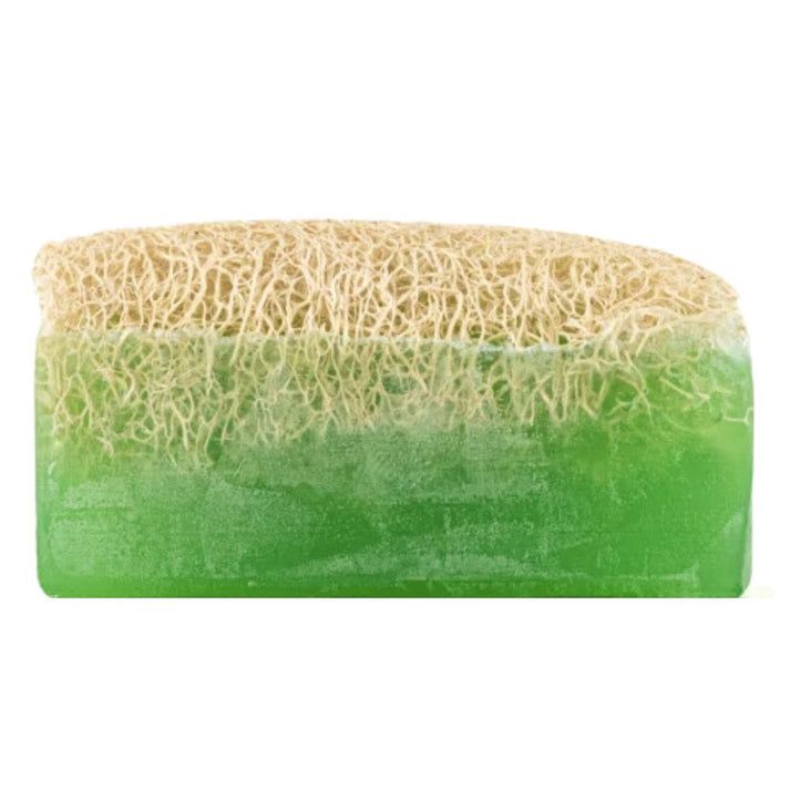 ZI Natural - Aloe Vera Loofah Body Care Soap - 100 g