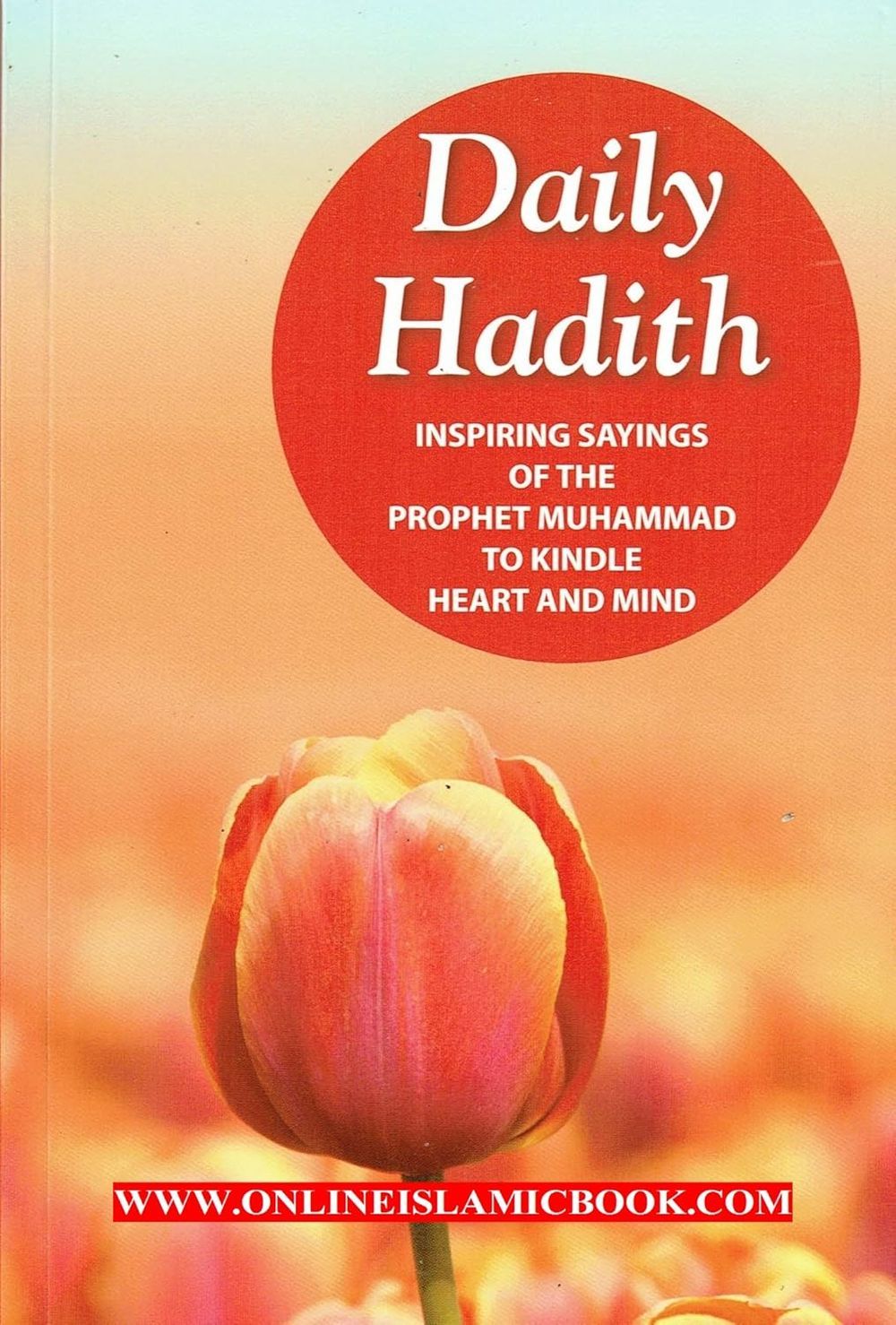 Daily Hadith