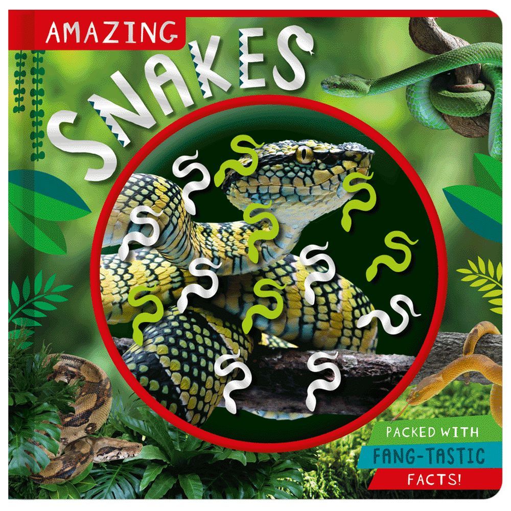 Make Believe Ideas - Amazing Snakes Non-Fiction Learning Book