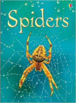 Usborne Books Beginners - Spiders - Rebecca Gilpin