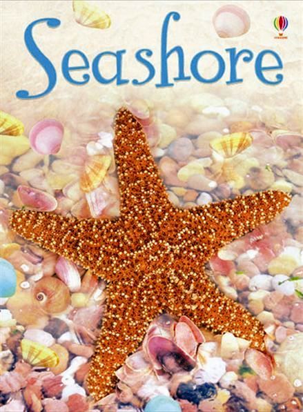 Usborne Books - Beginners: Seashore