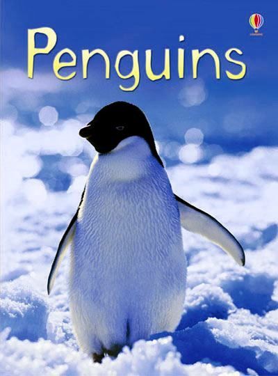 Usborne Books - Beginners: Penguins