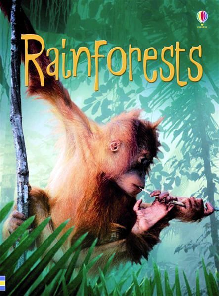 Usborne Books - Beginners: Rainforests