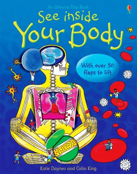 Usborne Books: Flap Book - See Inside Your Body