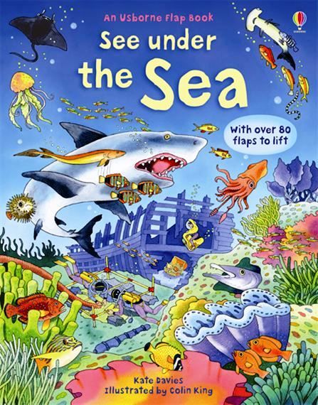 Usborne Books: Flap Book - See Under The Sea