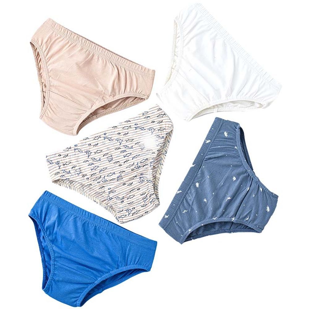 Jam - 5pc-Set - Boy's Soft & Comfortable Briefs - Blue/White