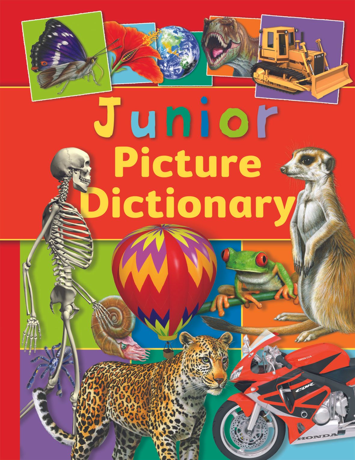 3D Junior Picture Dictionary