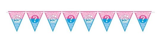 Girl Or Boy? Paper Pennant Banner