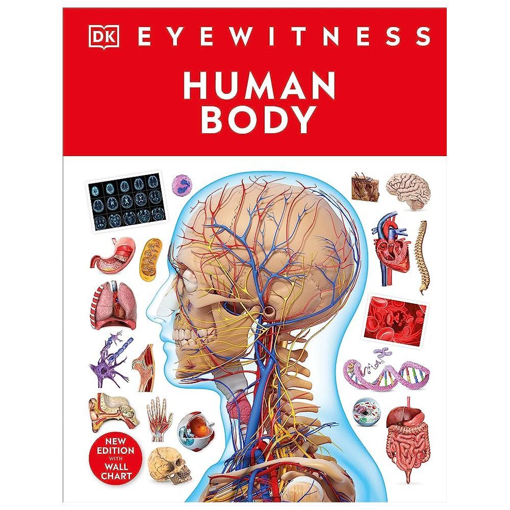 Human Body - Hardback