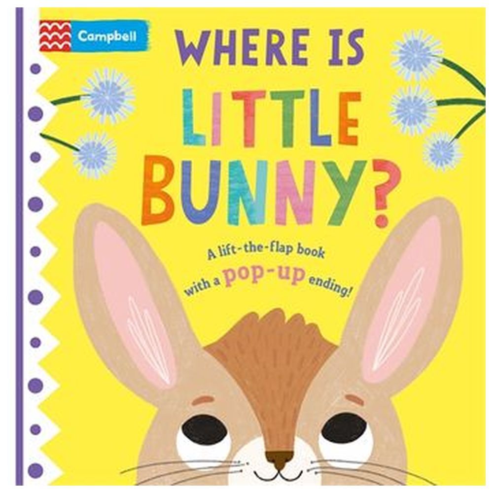 Where Is Little Bunny?