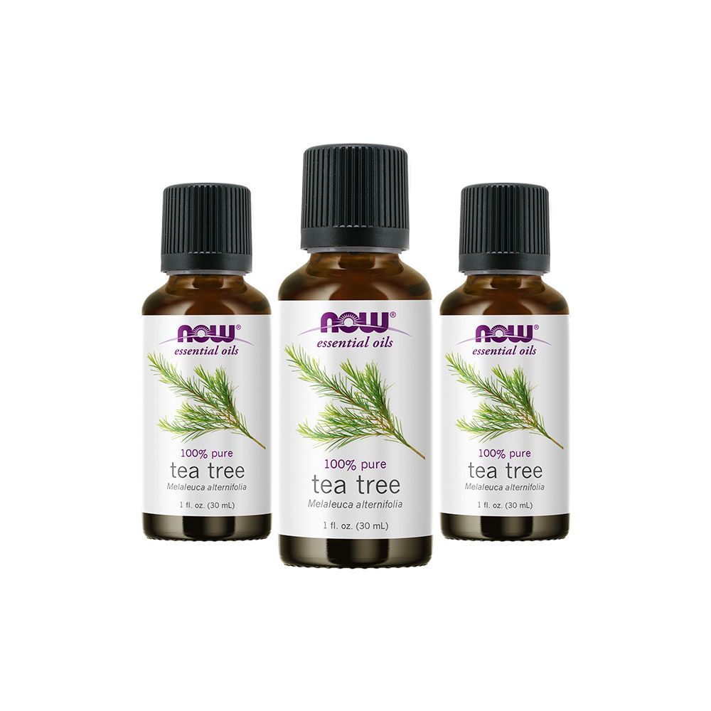 Now Essential Oils - Tea Tree Oil 1 fl. oz. - Pack of 3