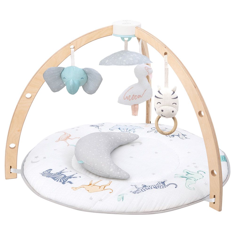 Aden + Anais - Play & Discover Activity Gym