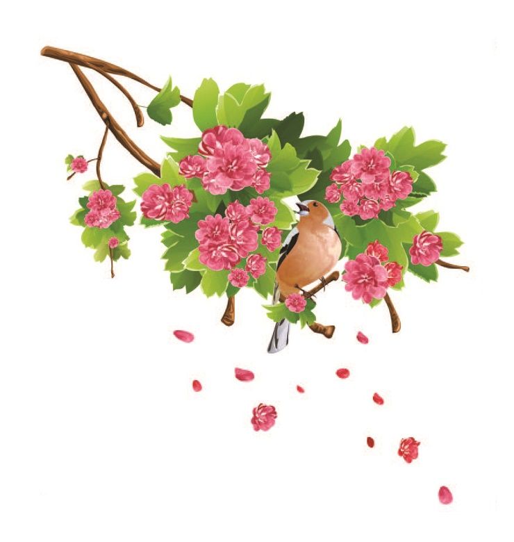 StickieArt - Bird On Flower Branch Removable Stickers-Medium