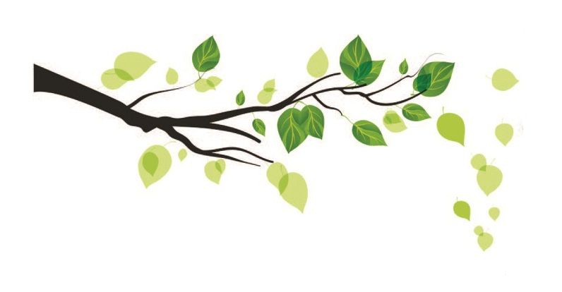 StickieArt - Green Leaves Branch Removable Stickers-Medium