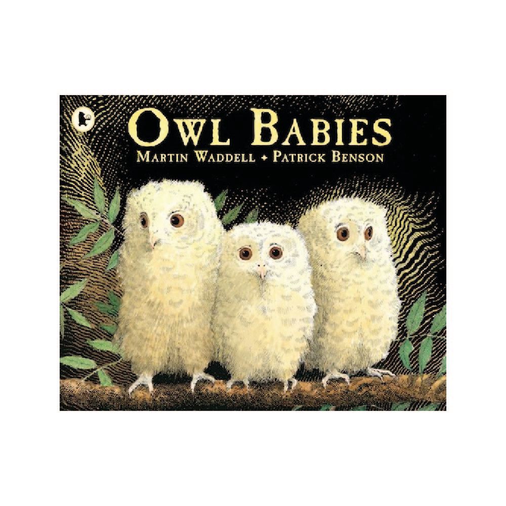 قصة Owl Babies