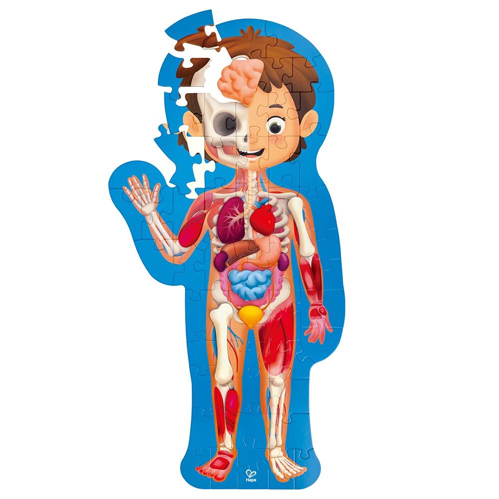 Hape - Human Body Jigsaw Puzzle 60pcs w/ 10pcs Wooden Body Parts