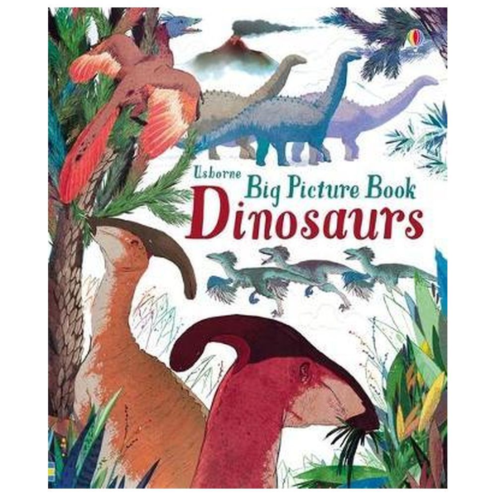 Usborne Books - Big Picture Book: Dinosaurs