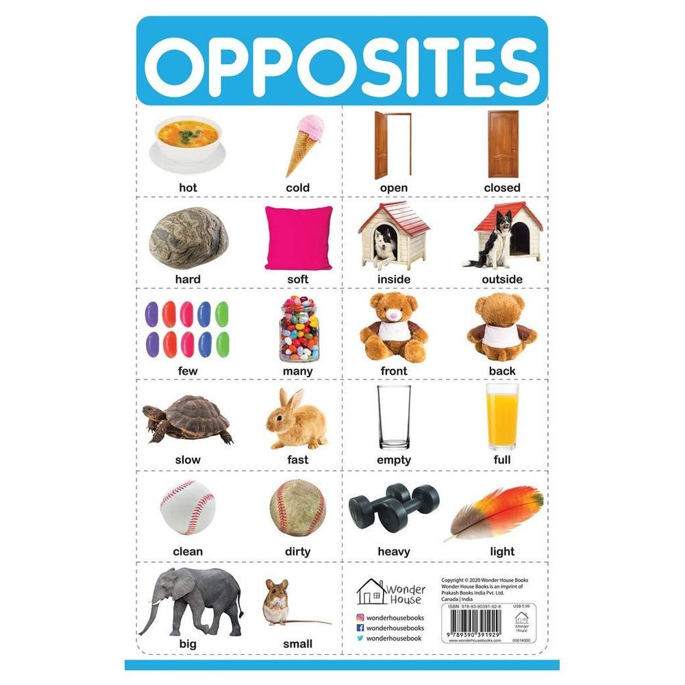 Prakash Books - Opposites Wall Chart