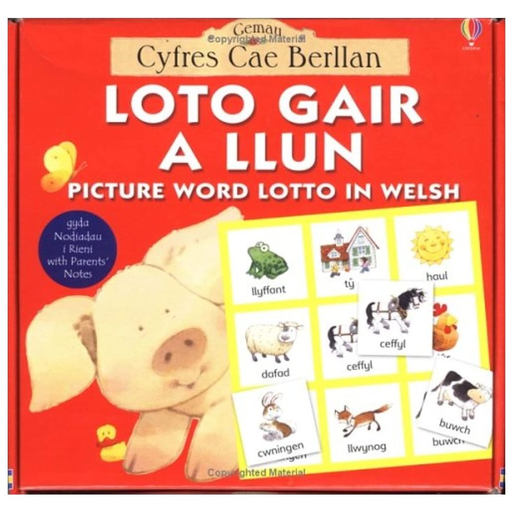 Usborne Books - Loto Gair A Llun