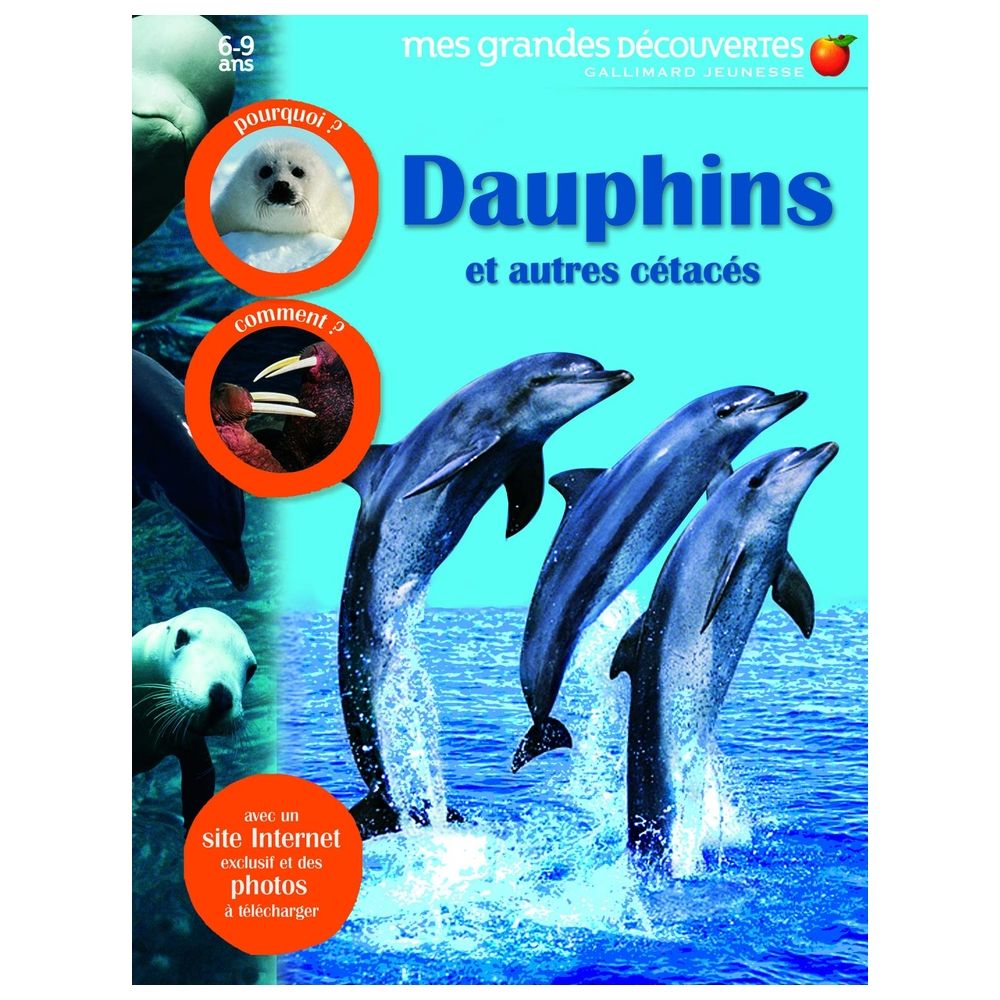 Dauphins Et Autres Cetaces