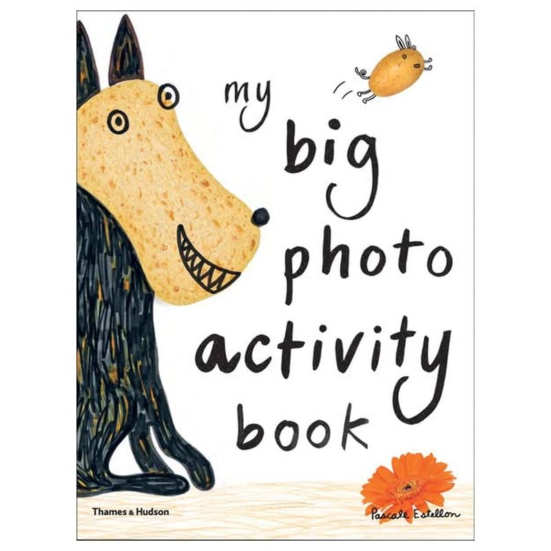 My Big Photo Activity Book