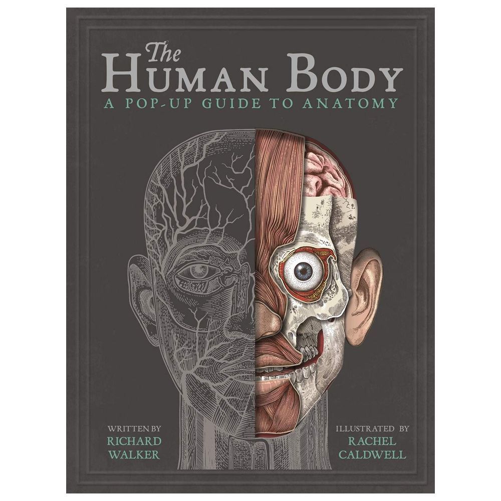 The Human Body: A Pop-Up Guide to Anatomy