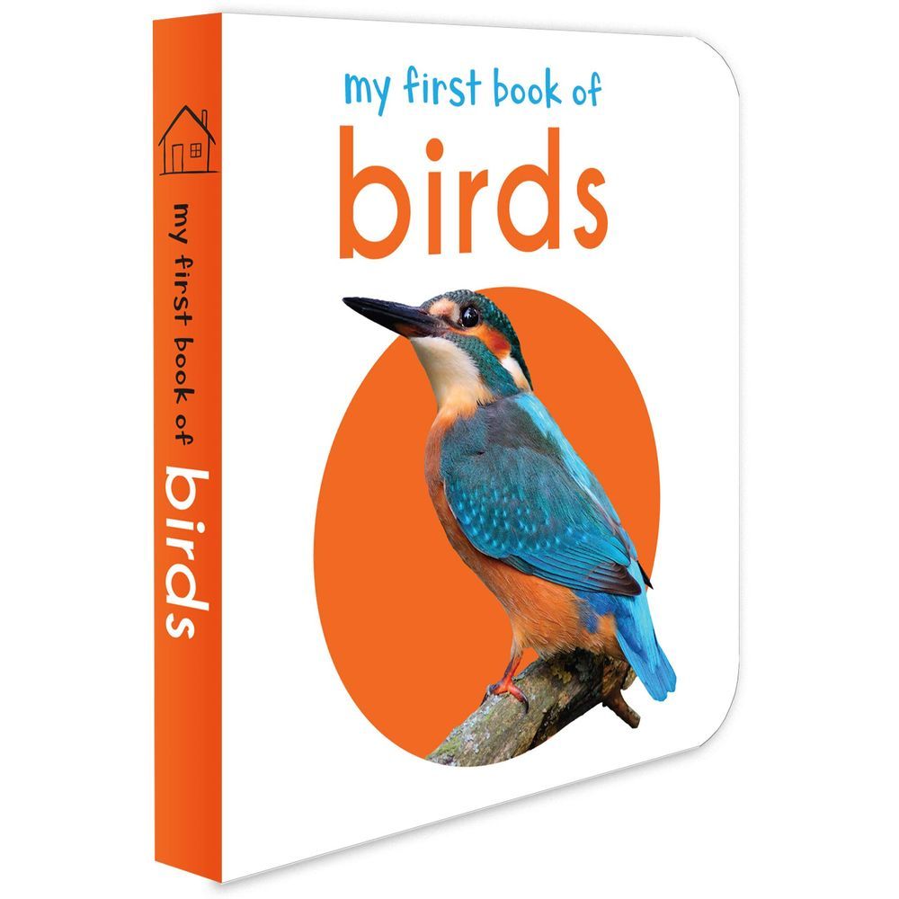 My First Book Of Birds: First Board Book