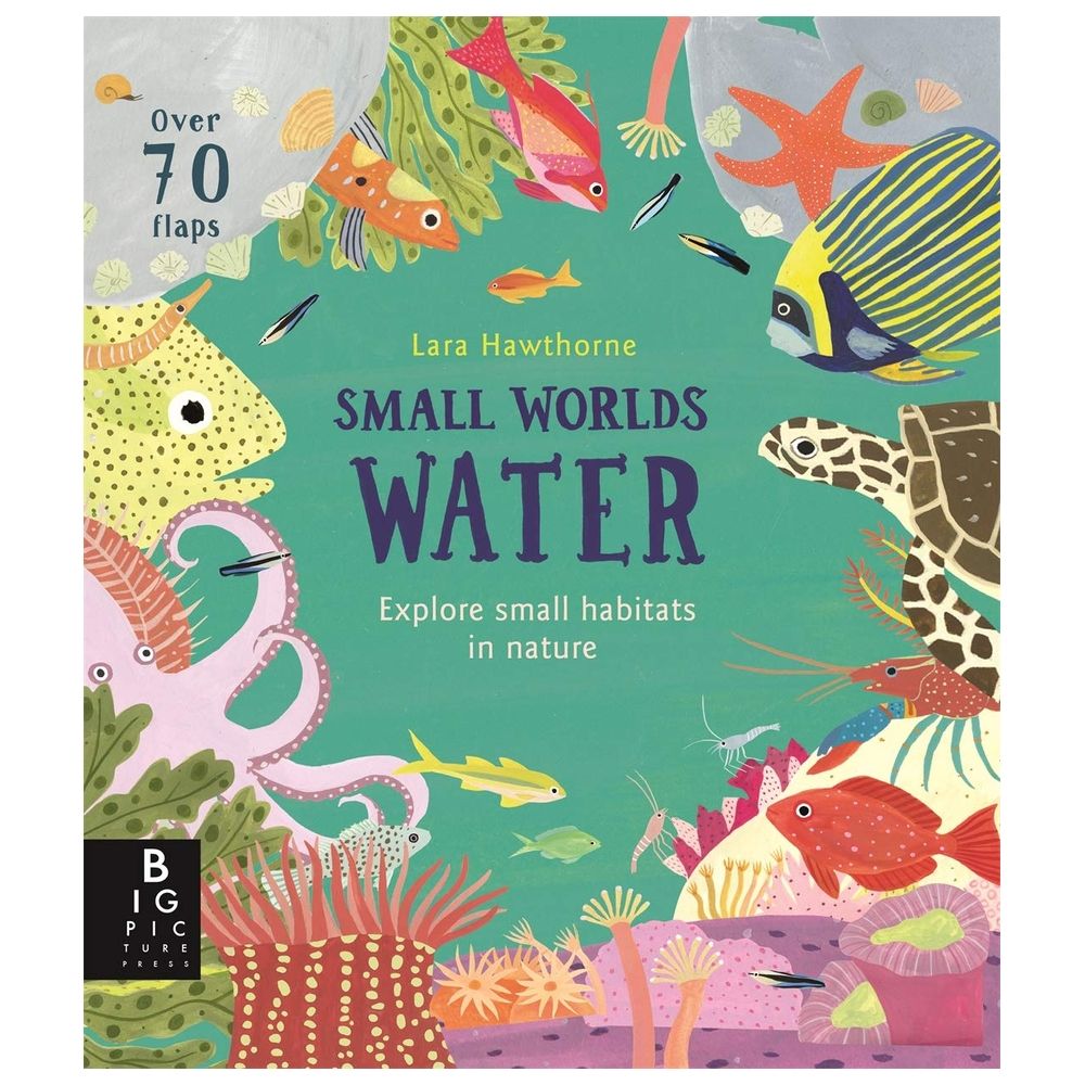 Small Worlds: Water