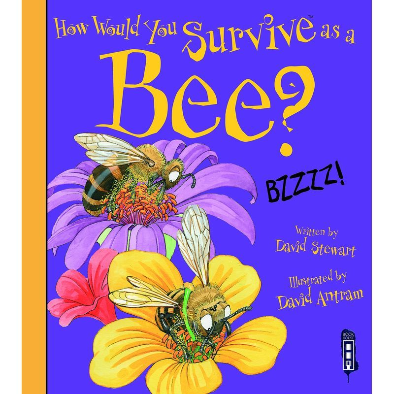 How Would You Survive As A Bee?