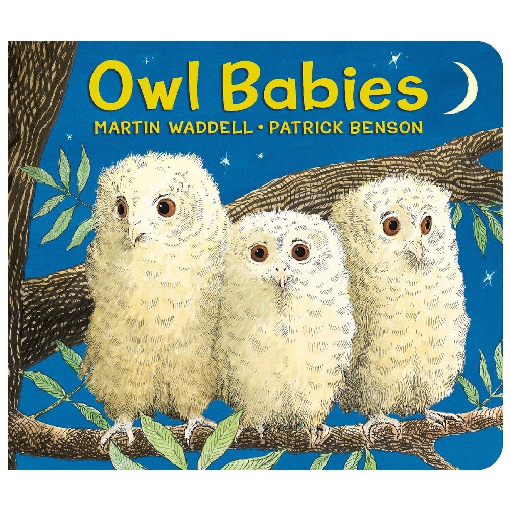 Owl Babies