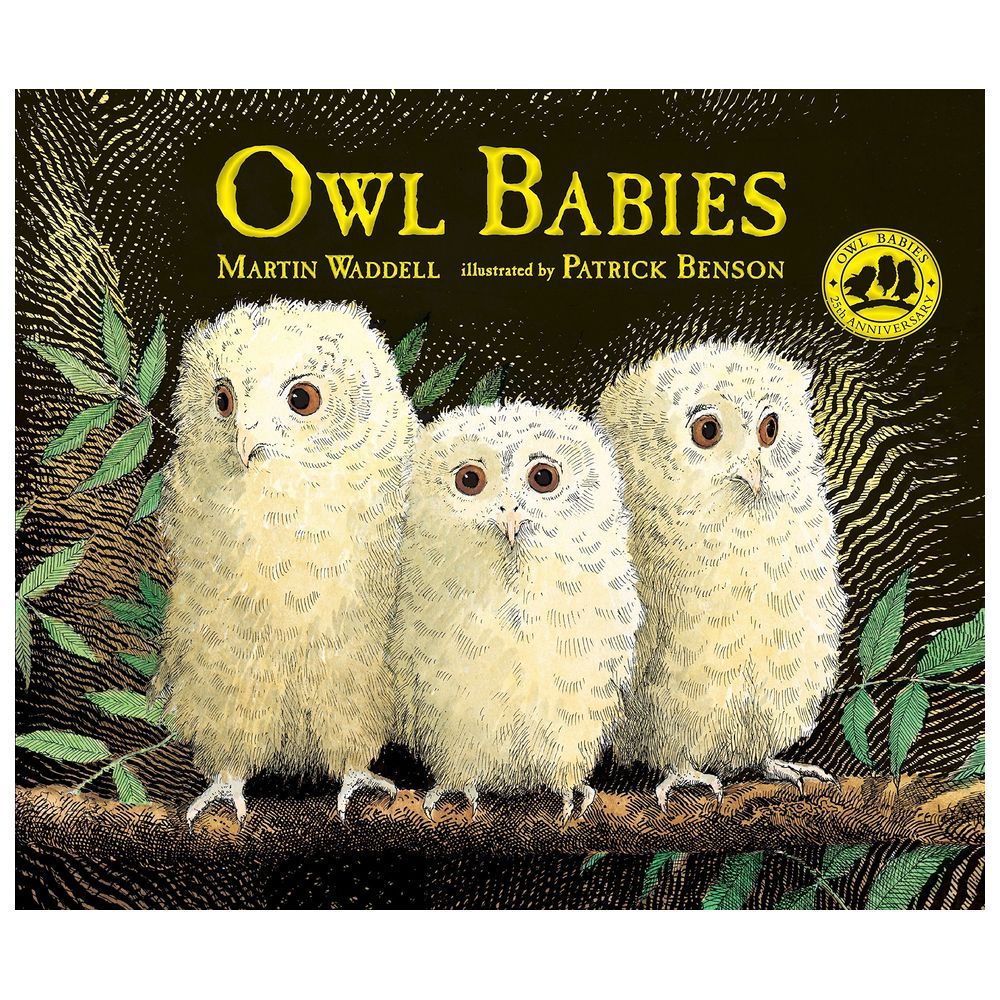 Owl Babies