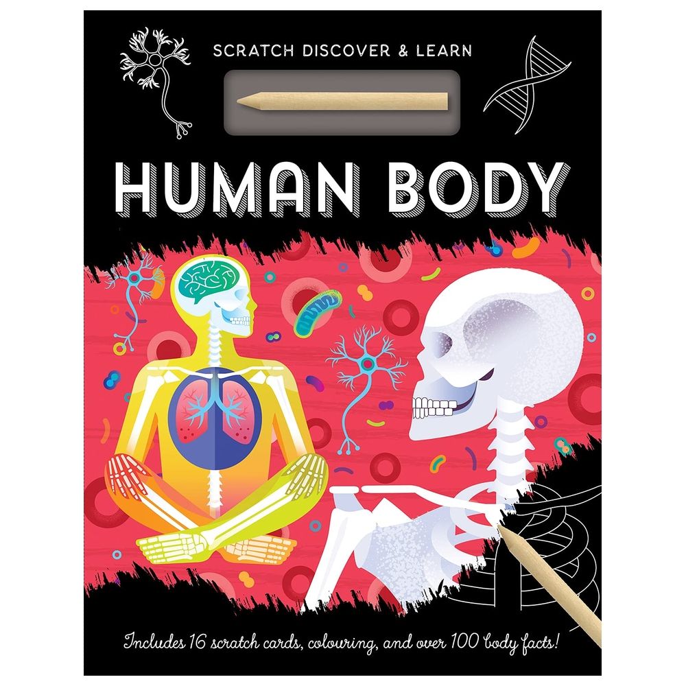  كتاب scratch discover & learn: human body