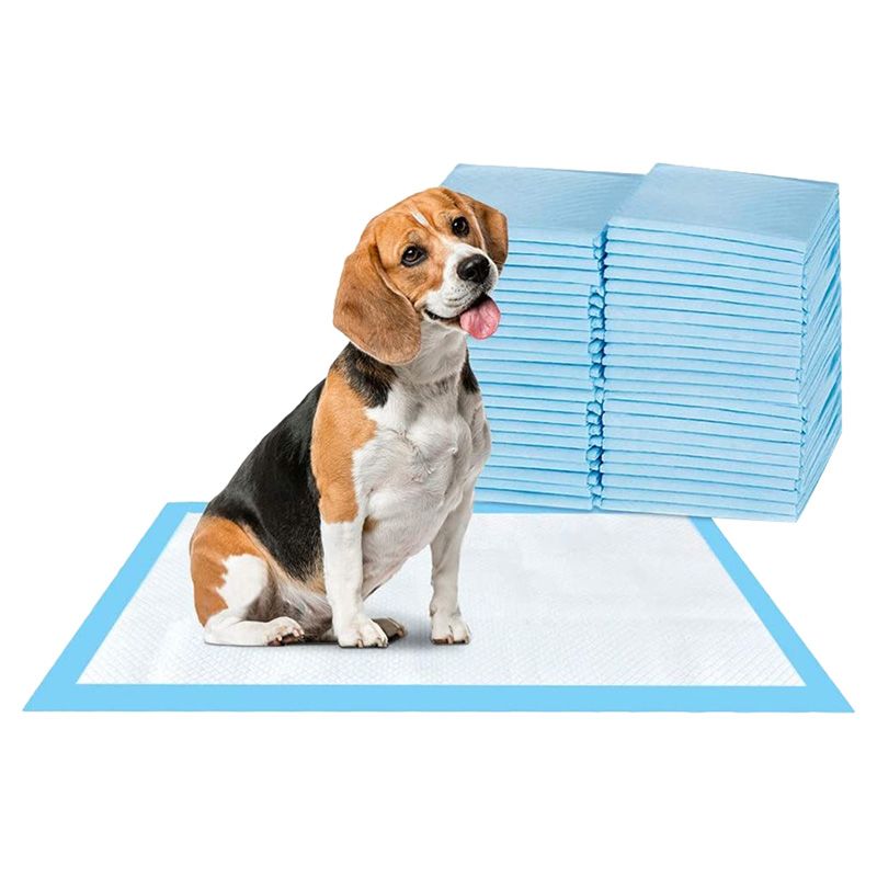 Cherry Medical Supply - Pet Training Pads - 200pcs - Large