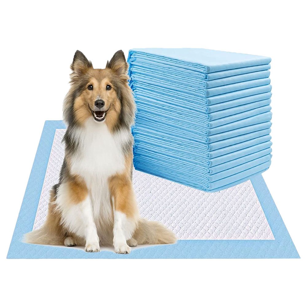 Cherry Medical Supply - Pet Training Pads - 20pcs - X-Large