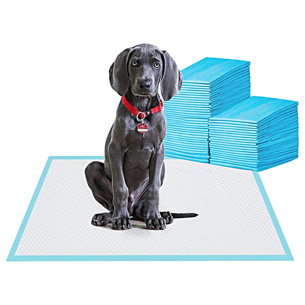 Cherry Medical Supply - Pet Training Pads - 60pcs - X-Large