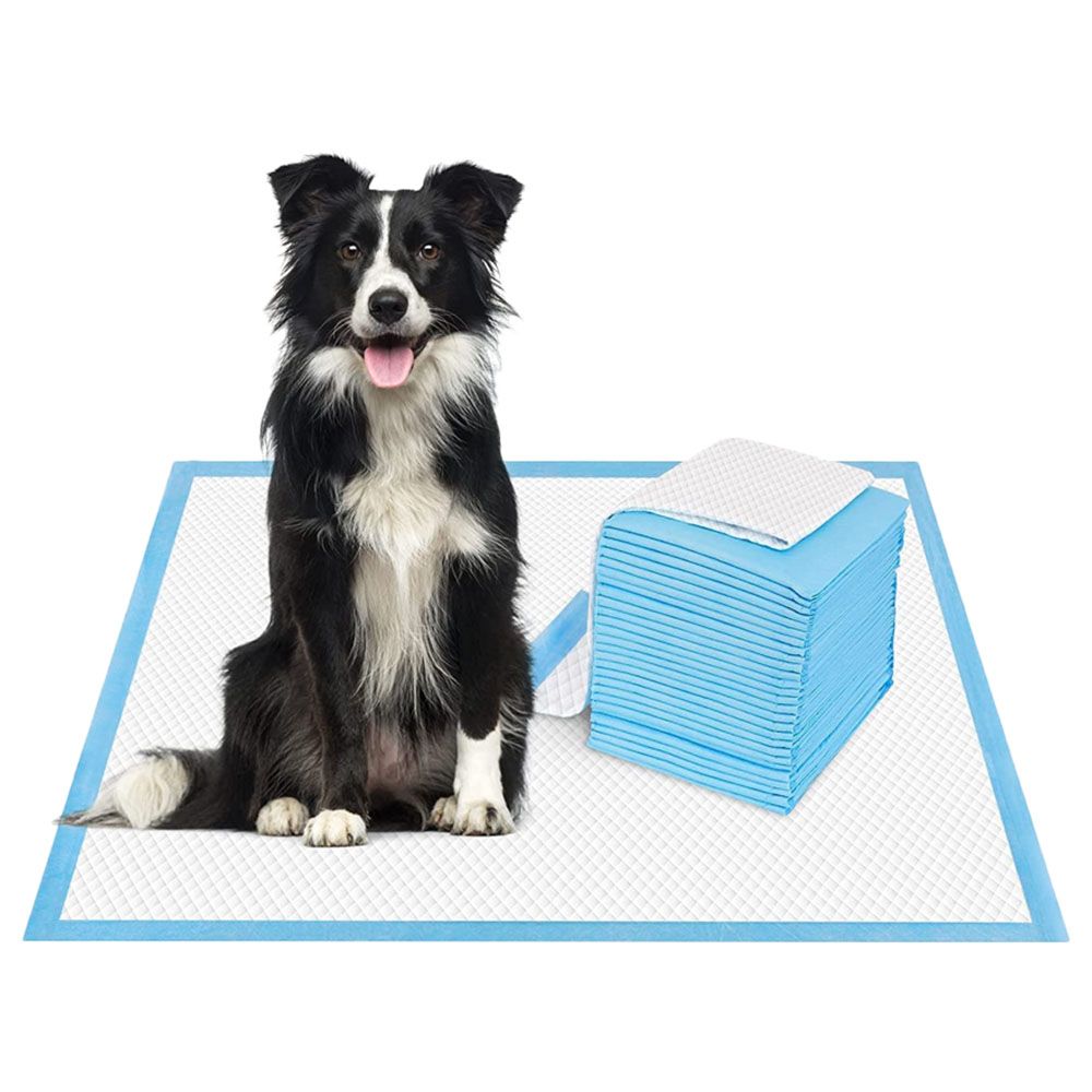 Cherry Medical Supply - Pet Training Pads - 70pcs - X-Large