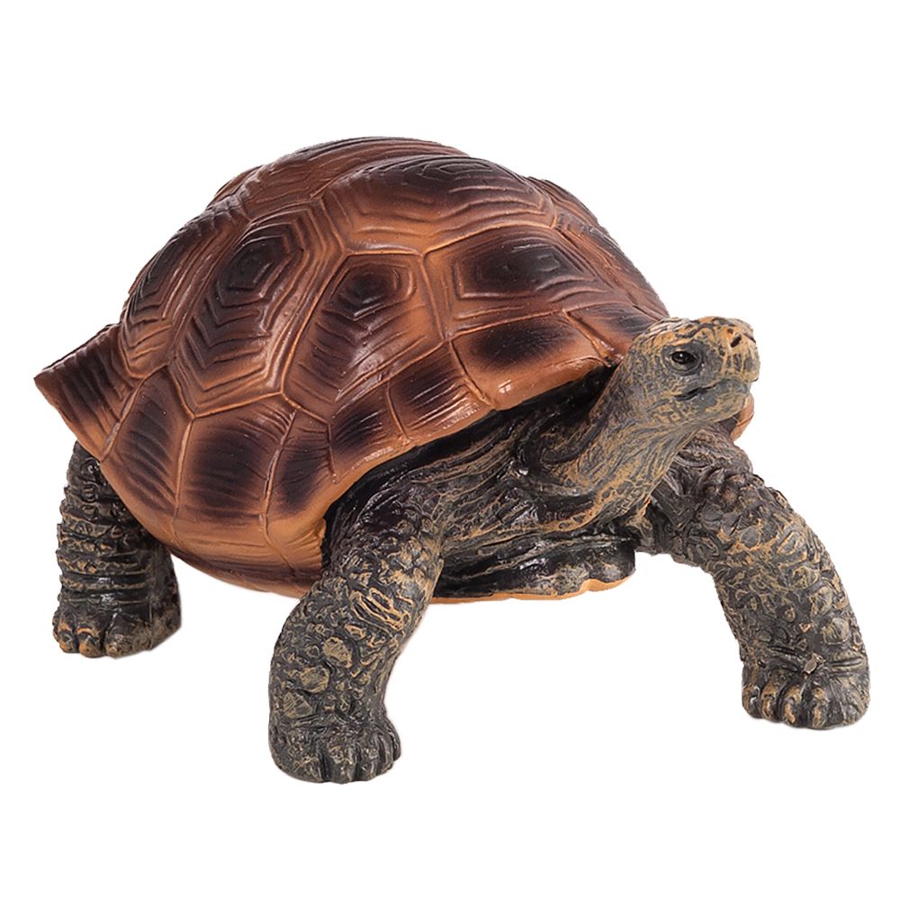 Animal Planet - Mojo Giant Tortoise New Toy Figure - Brown