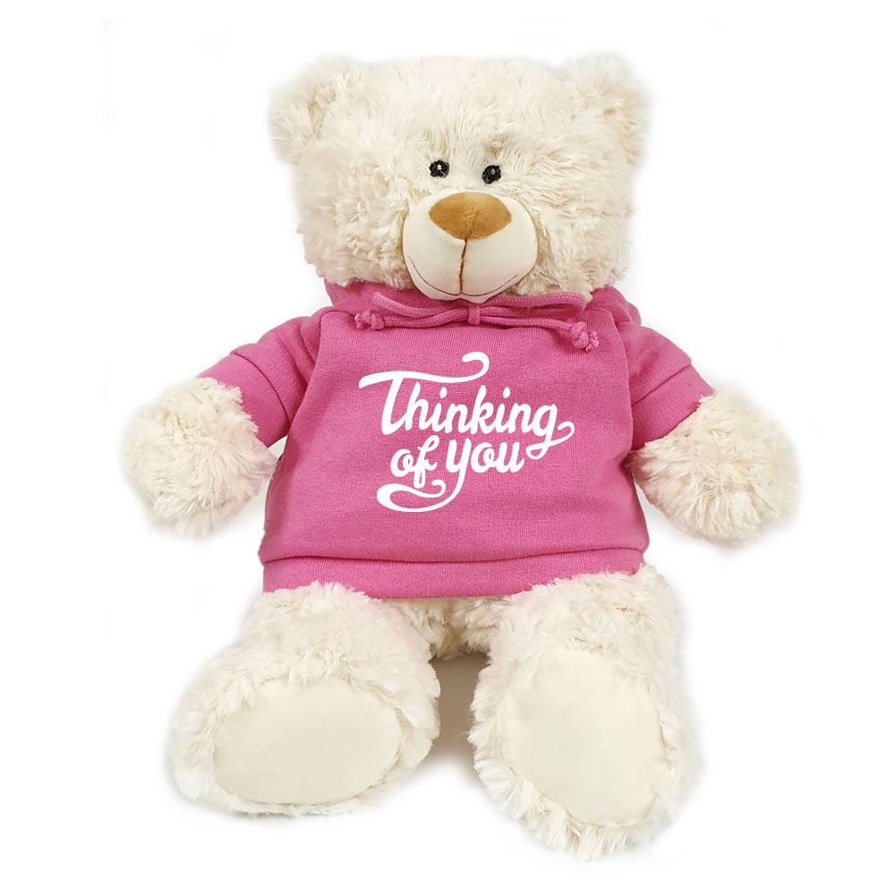 Fay Lawson - Bear in Thinking of You Print Pink Hoodie - 38cm