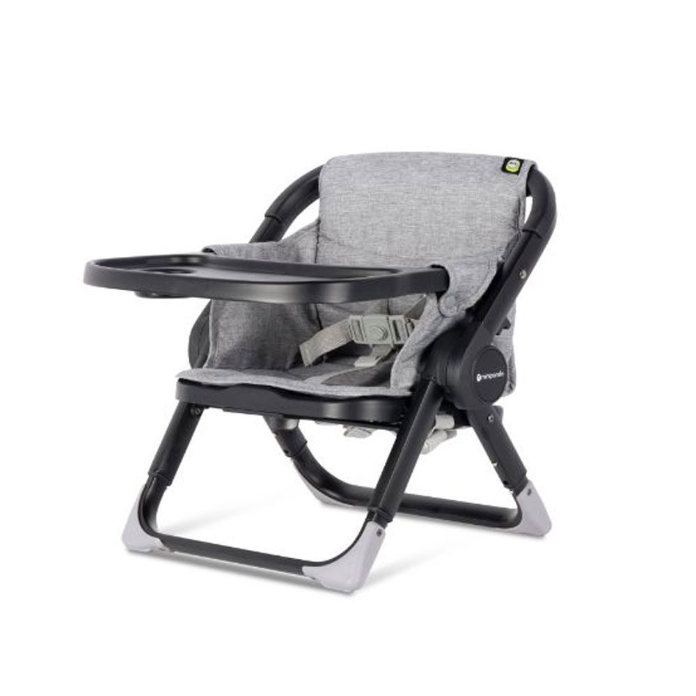 Mini Panda - Snacky Time Cub Booster Seat Group 1 - Graphite