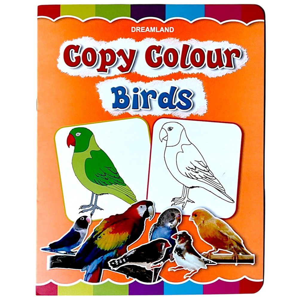 Copy Colour Book - Birds